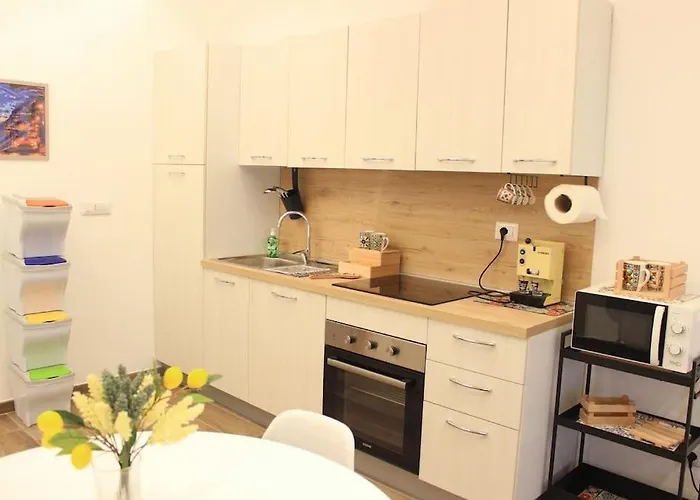 Hippocampus Appartement